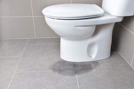 Pressure-Assisted Flush Toilets: A Guide for Homeowners Thumbnail